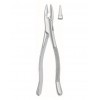 Extracting Forceps, American Pattern